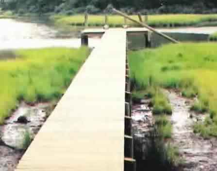 Pier Example